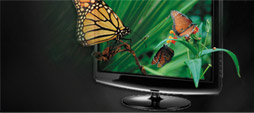 3D Vision Peine